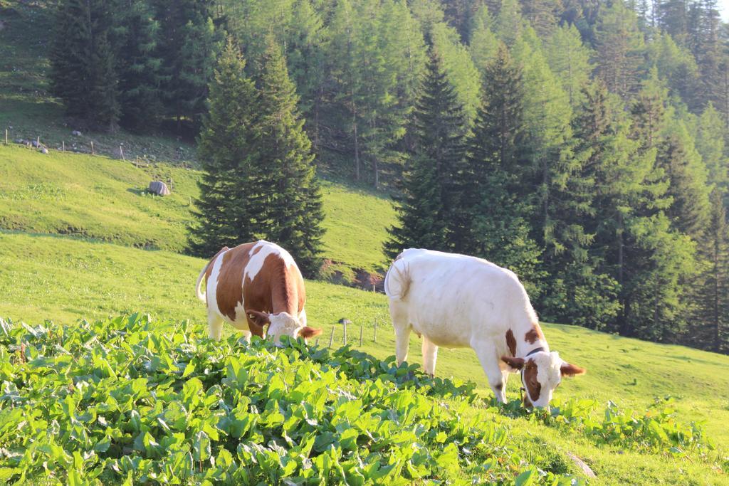 Salzburger Dolomitenhof Анаберг им Ламертал Екстериор снимка