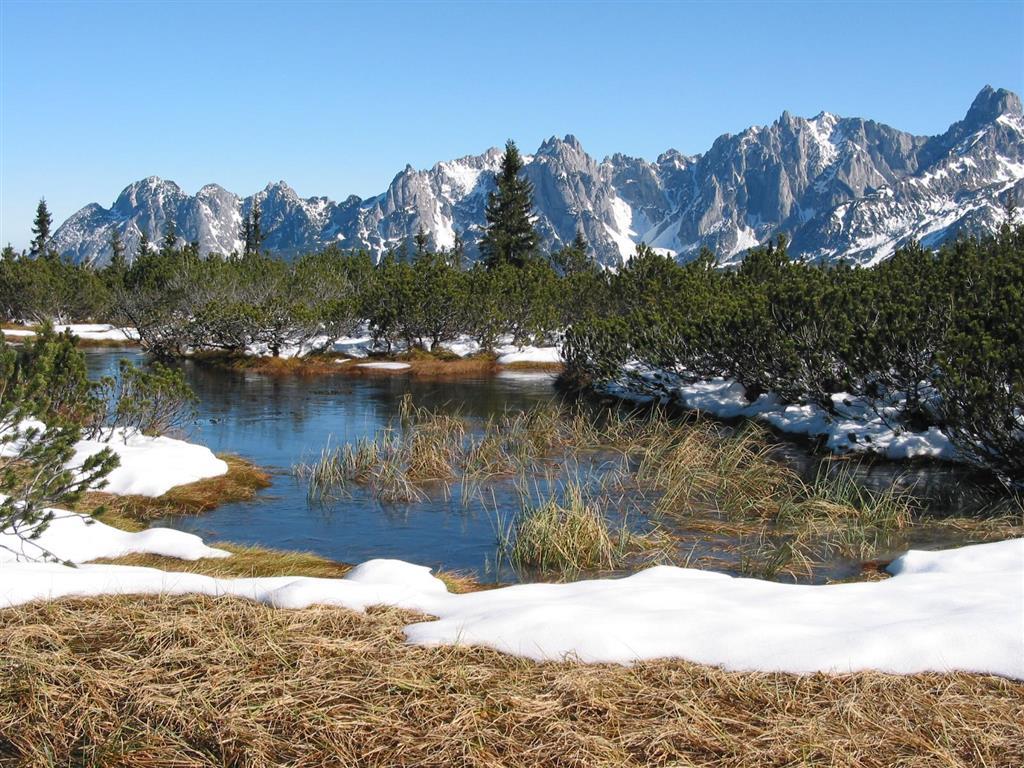 Salzburger Dolomitenhof Анаберг им Ламертал Екстериор снимка