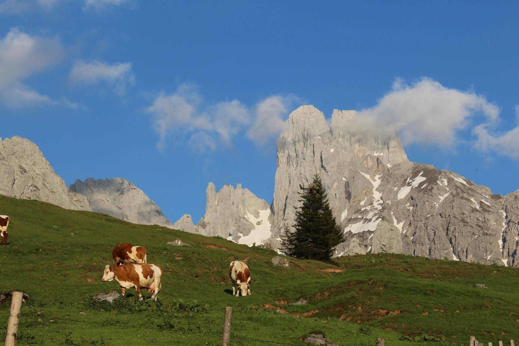 Salzburger Dolomitenhof Анаберг им Ламертал Екстериор снимка